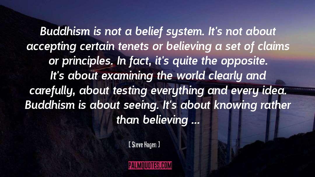 Steve Hagen Quotes: Buddhism is not a belief
