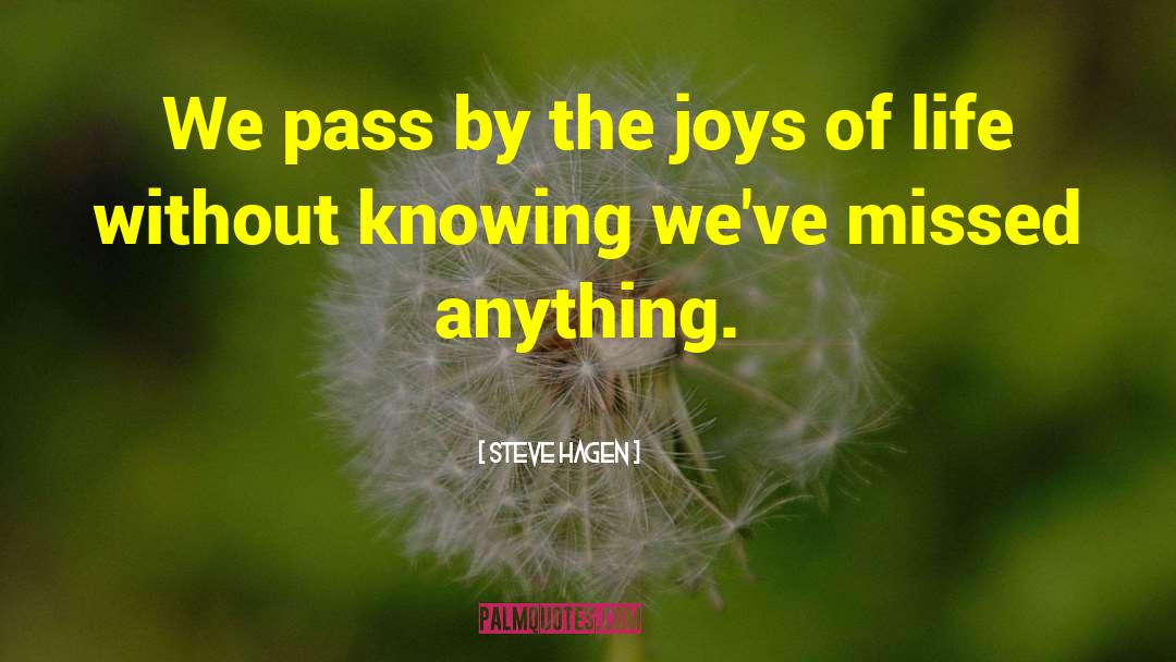 Steve Hagen Quotes: We pass by the joys