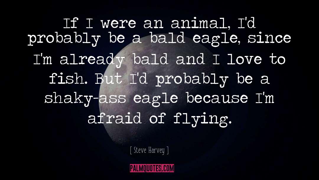 Steve Harvey Quotes: If I were an animal,