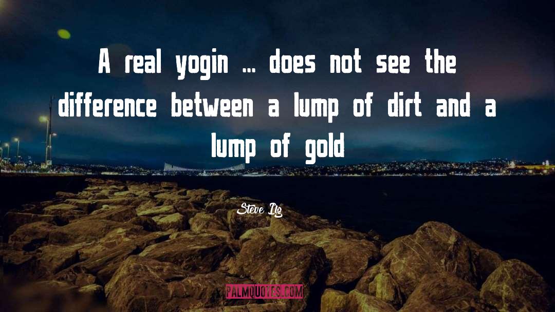 Steve Ilg Quotes: A real yogin ... does