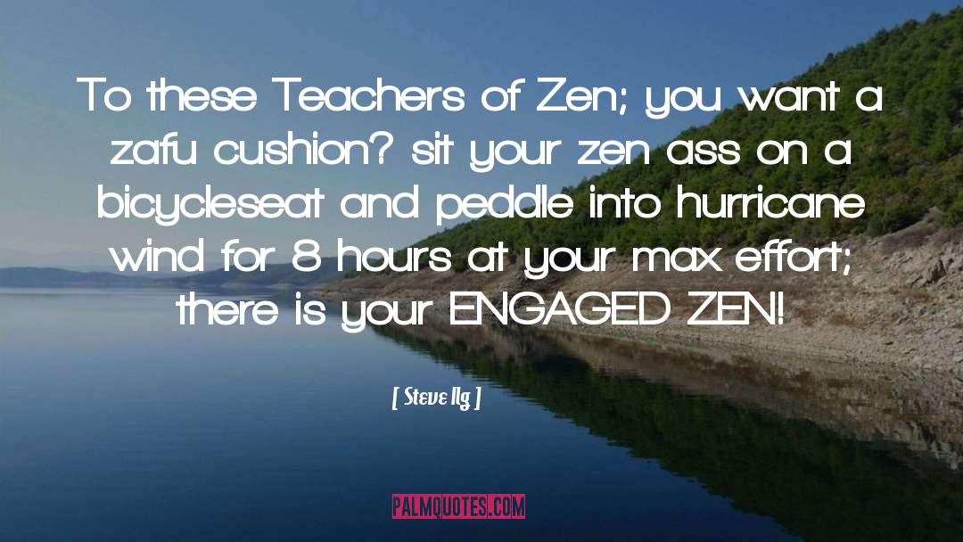 Steve Ilg Quotes: To these Teachers of Zen;