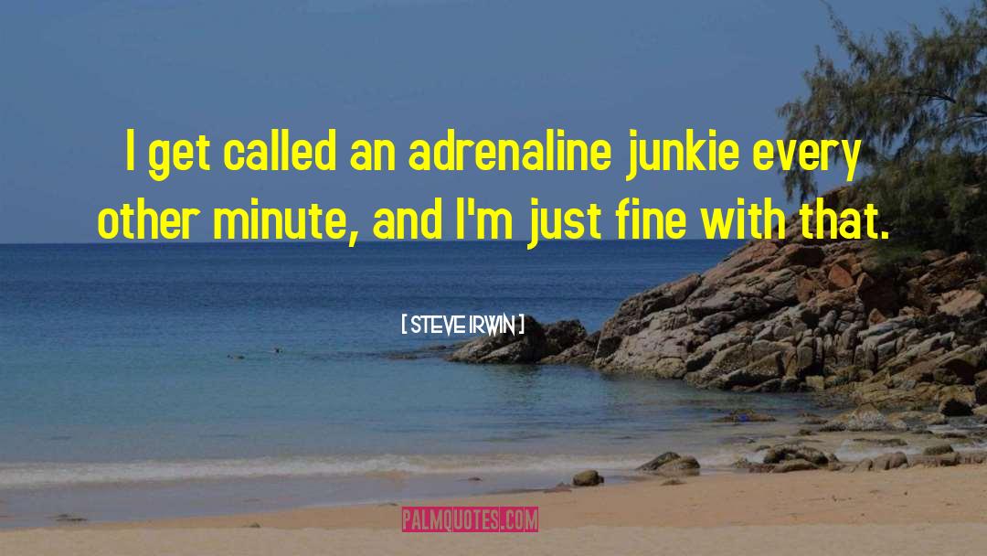Steve Irwin Quotes: I get called an adrenaline