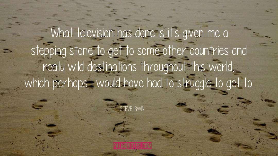 Steve Irwin Quotes: What television has done is