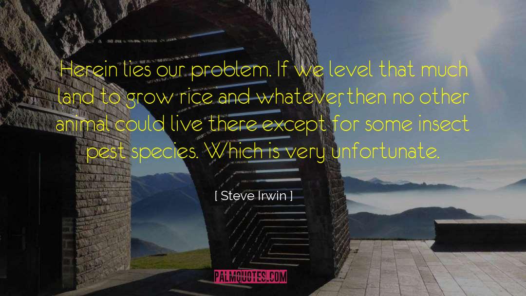 Steve Irwin Quotes: Herein lies our problem. If