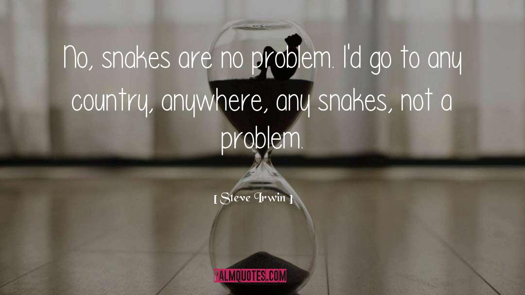 Steve Irwin Quotes: No, snakes are no problem.