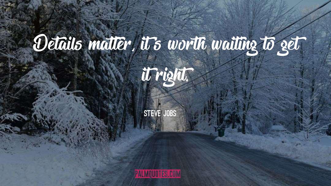 Steve Jobs Quotes: Details matter, it's worth waiting