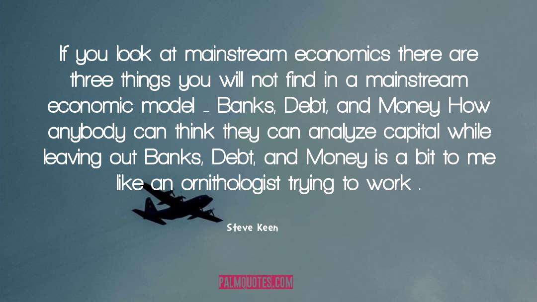 Steve Keen Quotes: If you look at mainstream