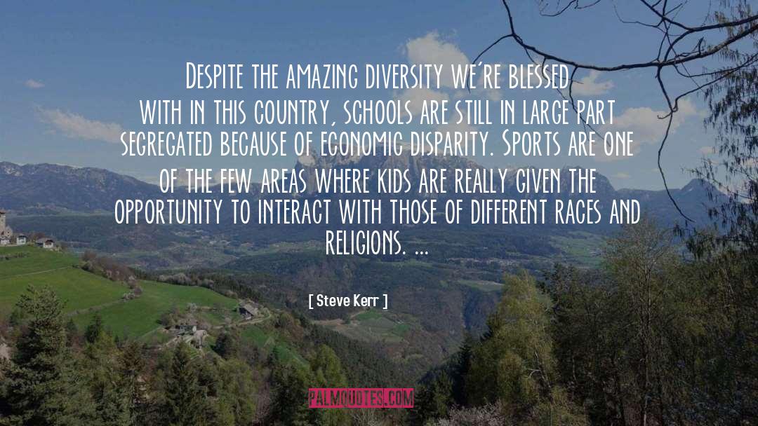 Steve Kerr Quotes: Despite the amazing diversity we're