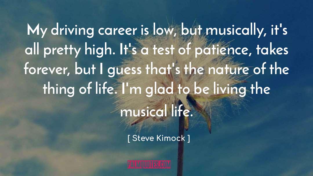 Steve Kimock Quotes: My driving career is low,