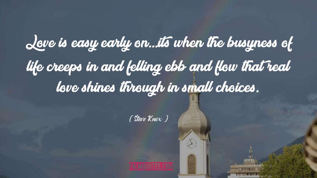 Steve Knox Quotes: Love is easy early on...its