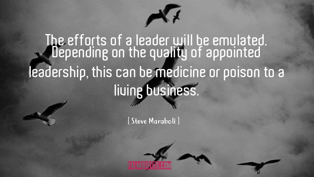 Steve Maraboli Quotes: The efforts of a leader