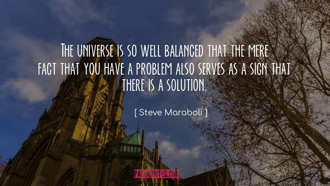 Steve Maraboli Quotes: The universe is so well