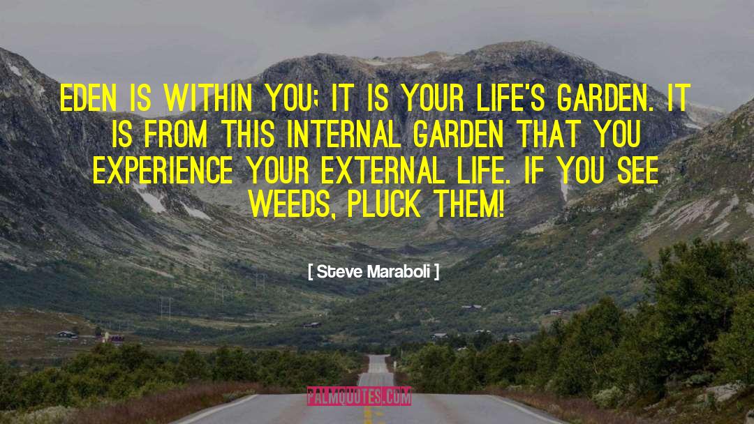 Steve Maraboli Quotes: Eden is within you; it