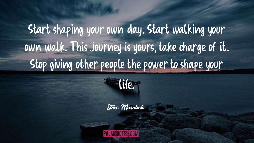 Steve Maraboli Quotes: Start shaping your own day.