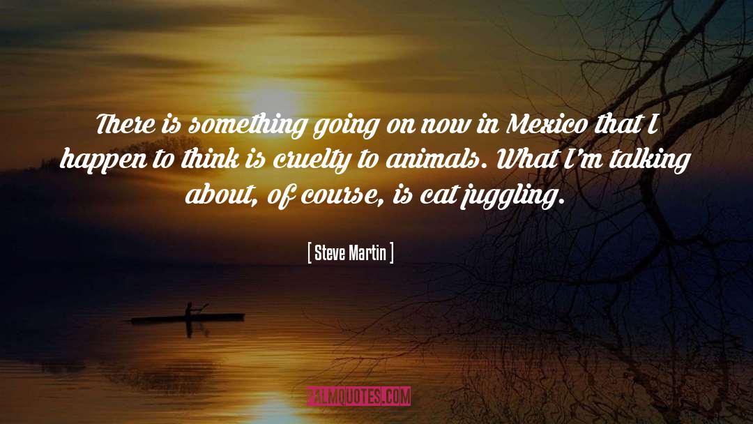 Steve Martin Quotes: There is something going on