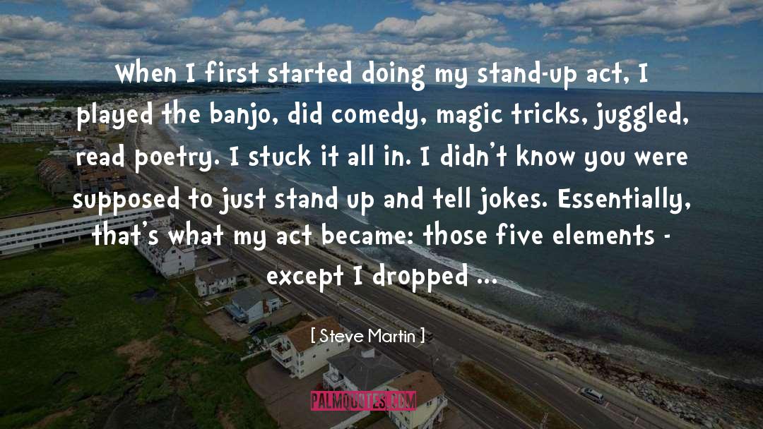 Steve Martin Quotes: When I first started doing