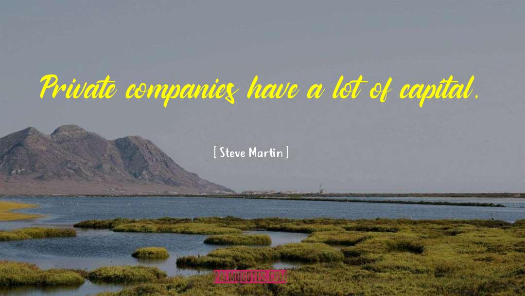 Steve Martin Quotes: Private companies have a lot