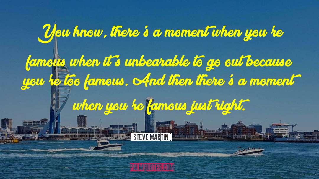 Steve Martin Quotes: You know, there's a moment