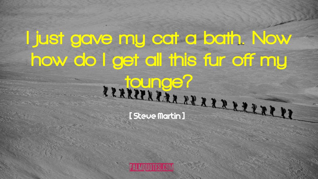 Steve Martin Quotes: I just gave my cat