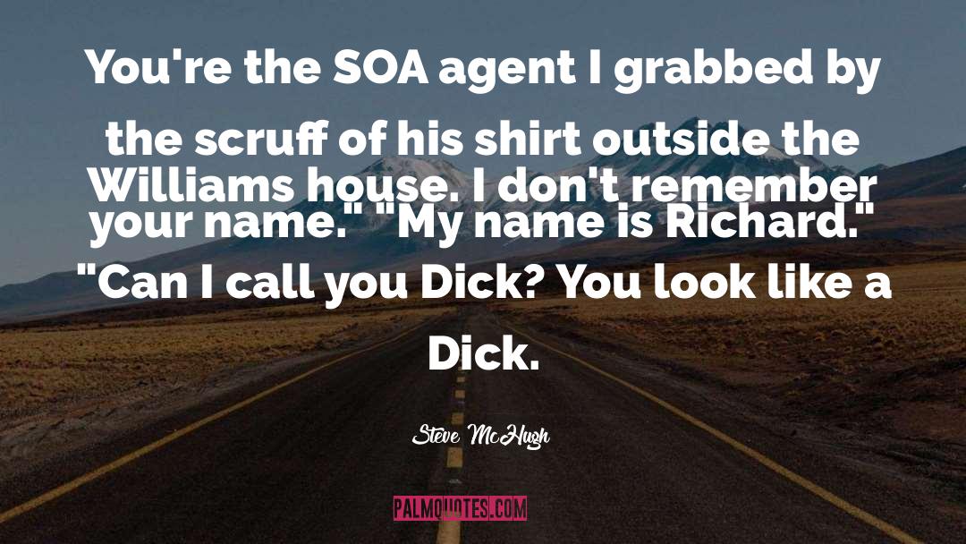 Steve McHugh Quotes: You're the SOA agent I