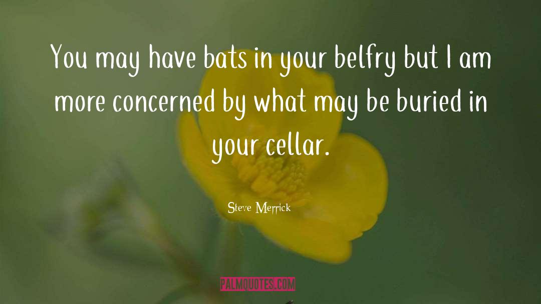 Steve Merrick Quotes: You may have bats in