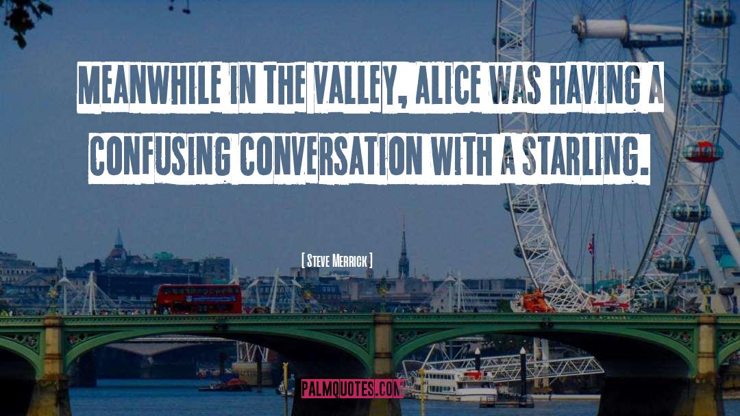 Steve Merrick Quotes: Meanwhile in the valley, Alice