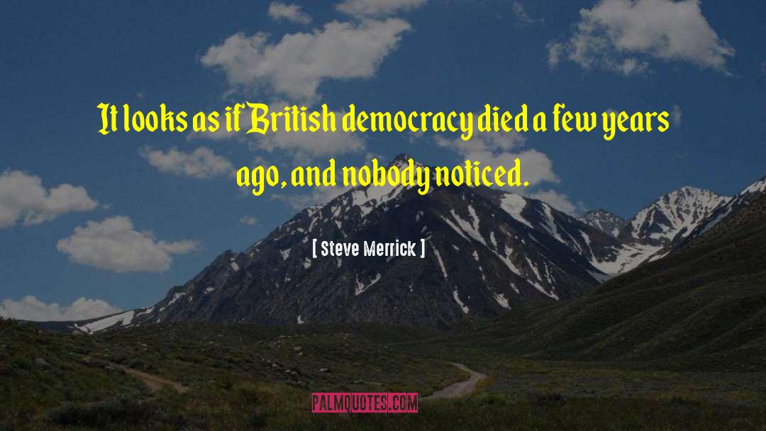 Steve Merrick Quotes: It looks as if British