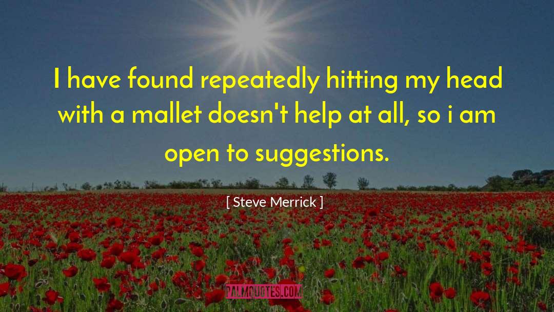 Steve Merrick Quotes: I have found repeatedly hitting