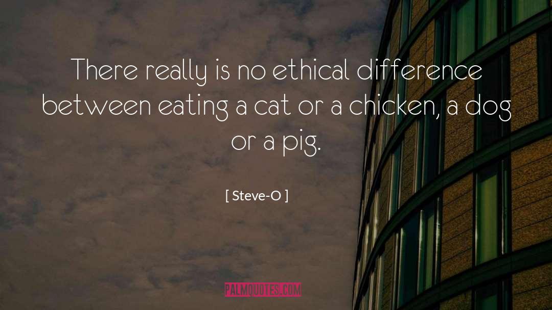 Steve-O Quotes: There really is no ethical