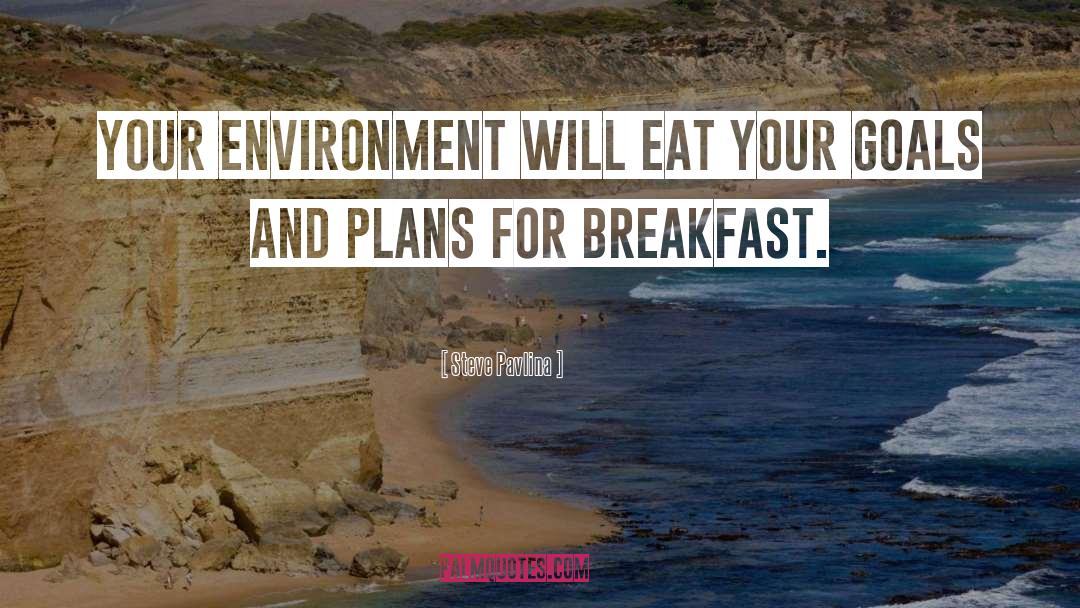 Steve Pavlina Quotes: Your environment will eat your