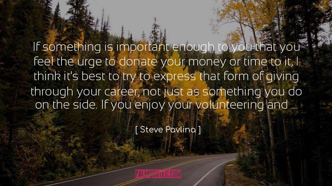 Steve Pavlina Quotes: If something is important enough