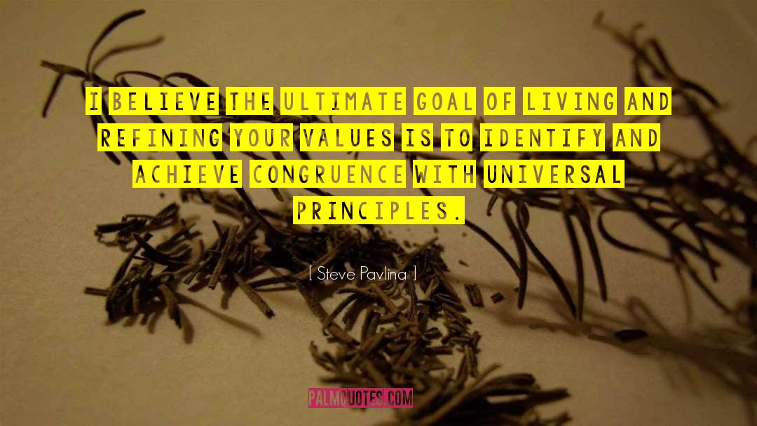 Steve Pavlina Quotes: I believe the ultimate goal