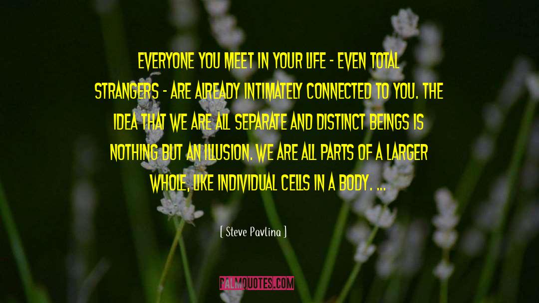 Steve Pavlina Quotes: Everyone you meet in your