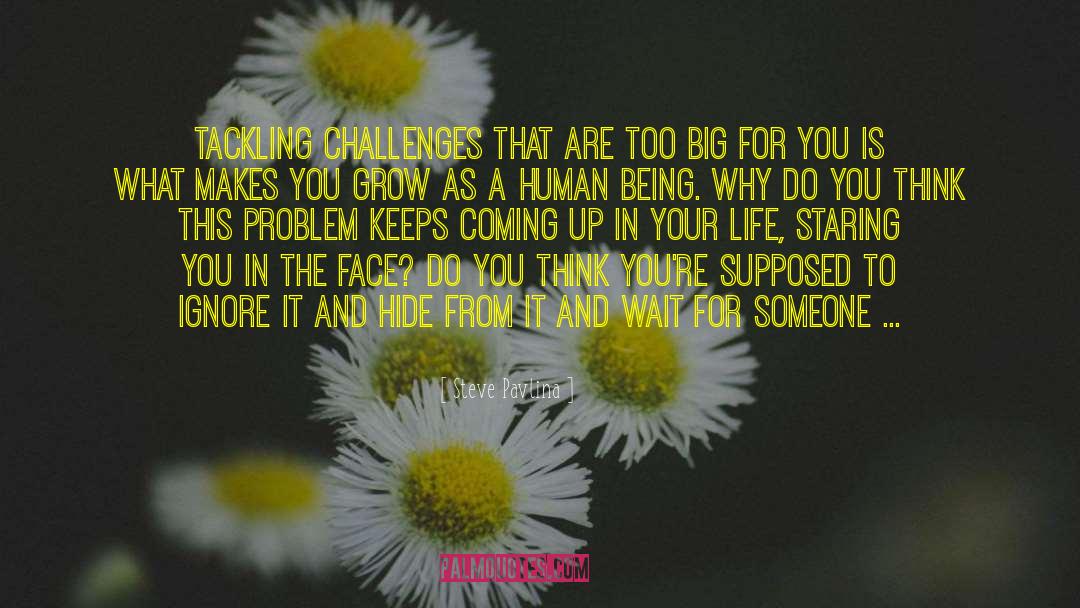 Steve Pavlina Quotes: Tackling challenges that are too