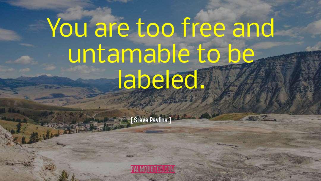Steve Pavlina Quotes: You are too free and