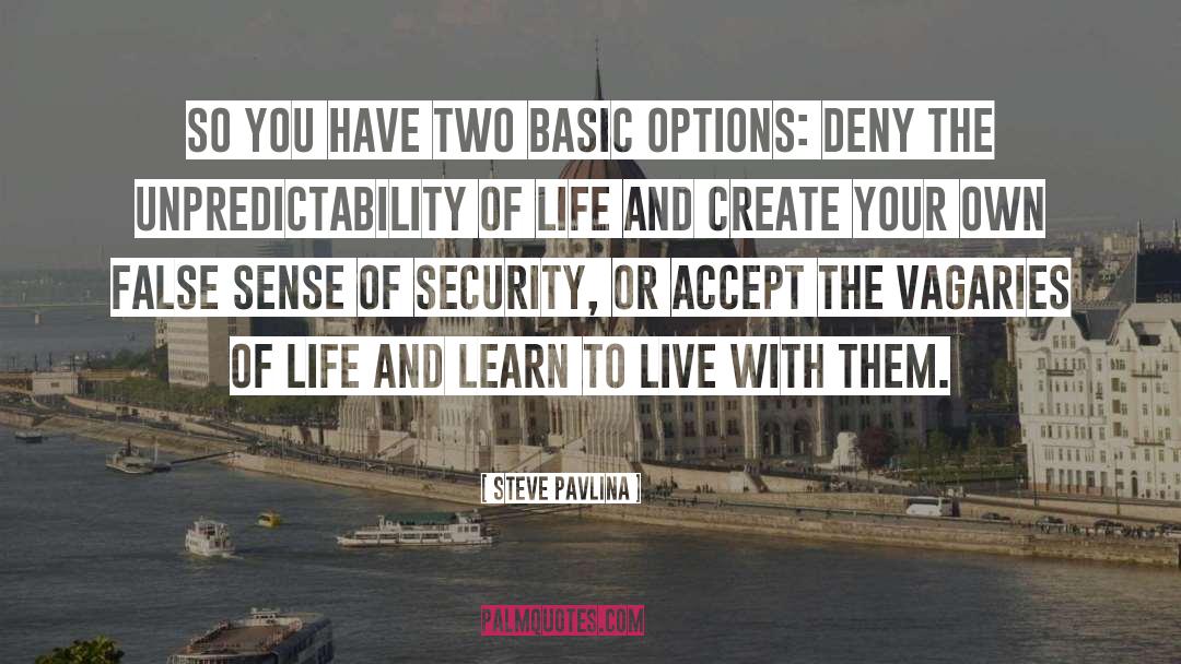 Steve Pavlina Quotes: So you have two basic