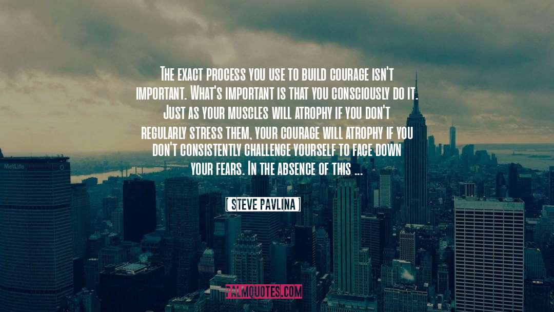 Steve Pavlina Quotes: The exact process you use