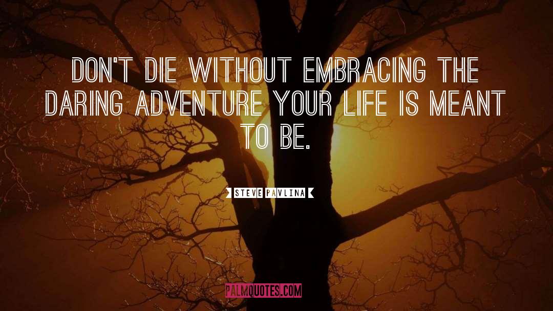 Steve Pavlina Quotes: Don't die without embracing the