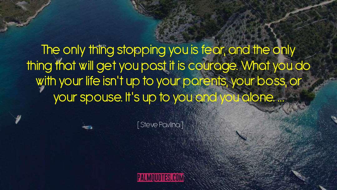 Steve Pavlina Quotes: The only thing stopping you