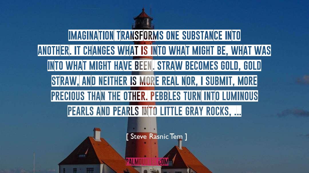 Steve Rasnic Tem Quotes: Imagination transforms one substance into