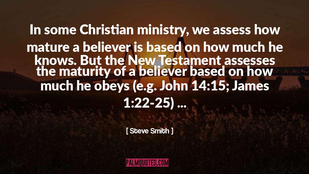 Steve Smith Quotes: In some Christian ministry, we