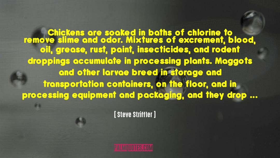 Steve Striffler Quotes: Chickens are soaked in baths