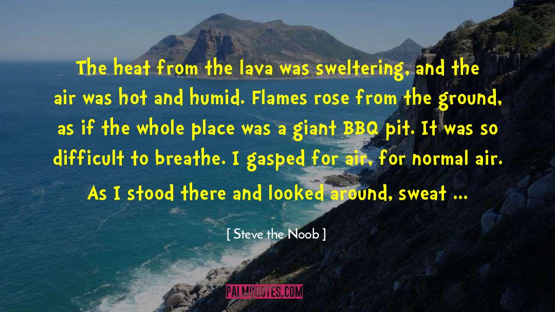 Steve The Noob Quotes: The heat from the lava