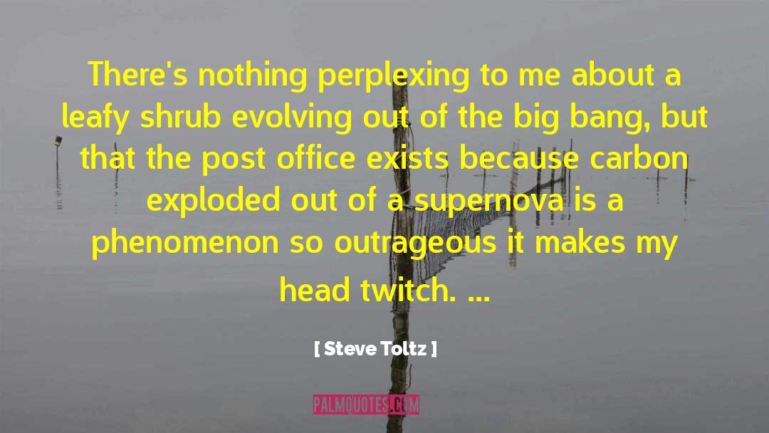 Steve Toltz Quotes: There's nothing perplexing to me