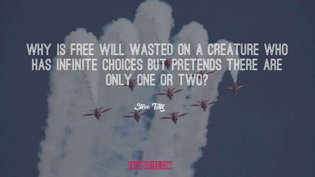 Steve Toltz Quotes: Why is free will wasted
