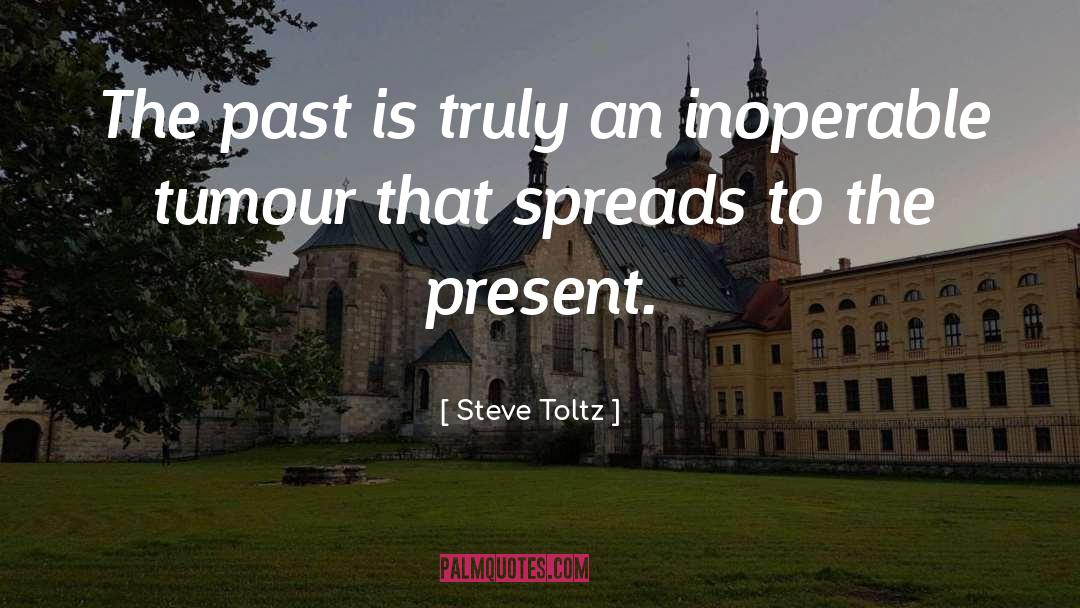 Steve Toltz Quotes: The past is truly an