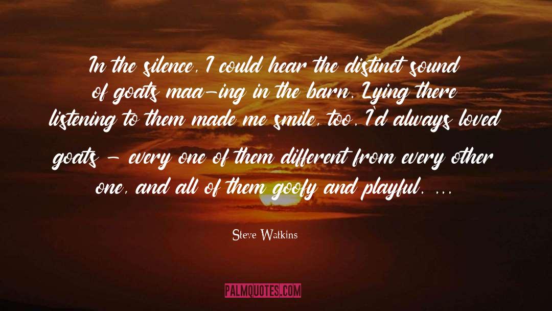 Steve Watkins Quotes: In the silence, I could