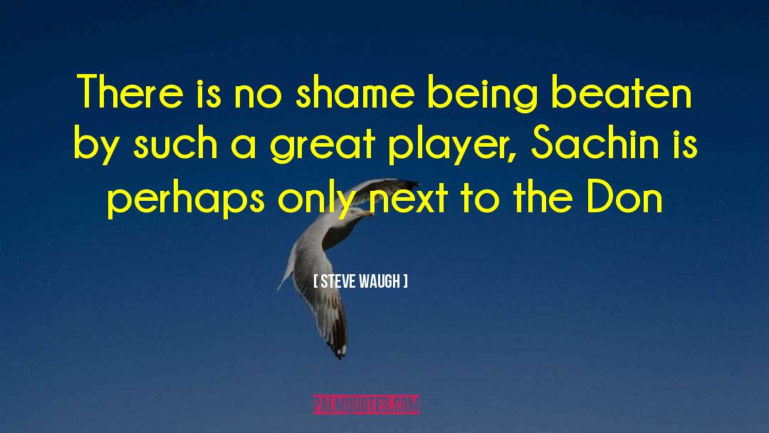 Steve Waugh Quotes: There is no shame being