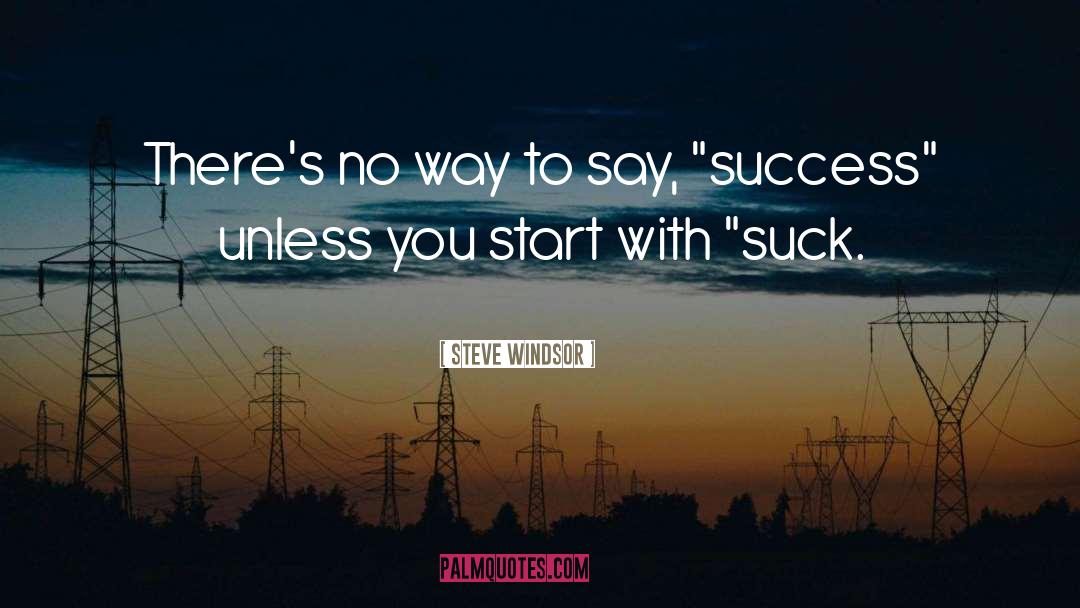 Steve Windsor Quotes: There's no way to say,