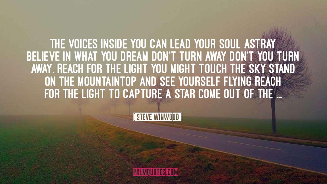 Steve Winwood Quotes: The voices inside you can